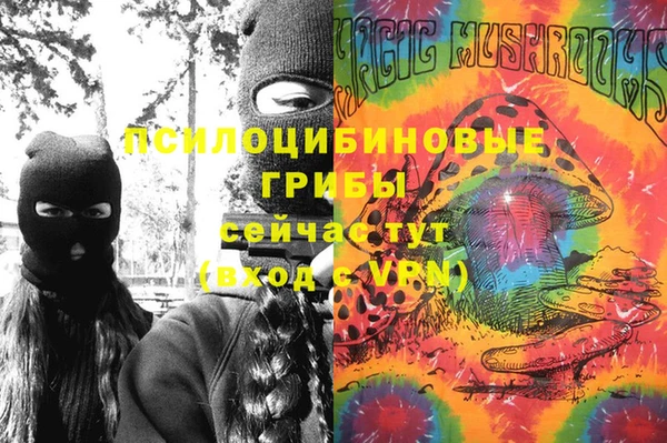 спайс Аркадак